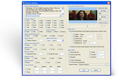 Demo Screenshots of Delphi FFmpeg VCL Components