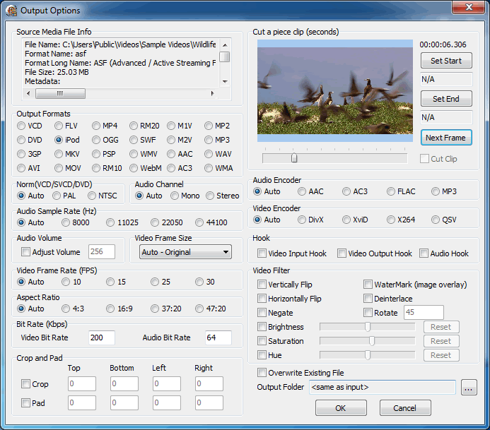 Option Form Screenshot of Video Converter Demo - Delphi FFmpeg VCL Components