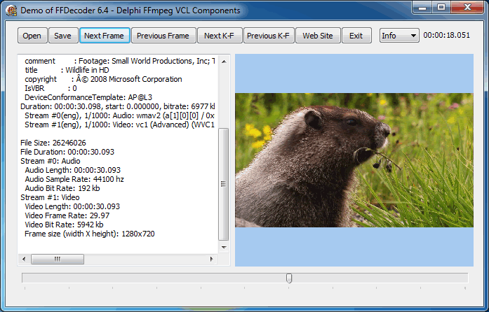 Screenshot of Video Decoder Demo - Delphi FFmpeg VCL Components