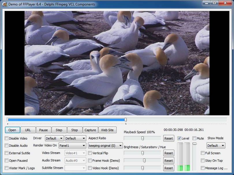 Screenshot of Video Player Demo - Delphi FFmpeg VCL Components